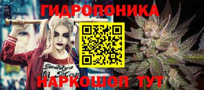 марки lsd Лесосибирск