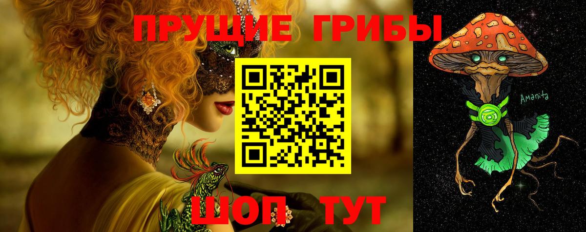 Елабуга  Псилоцибиновые грибы Psilocybine cubensis  наркошоп  Вход с VPN 