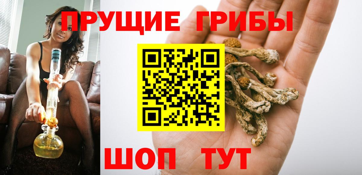 Псилоцибиновые грибы ЛСД Елабуга